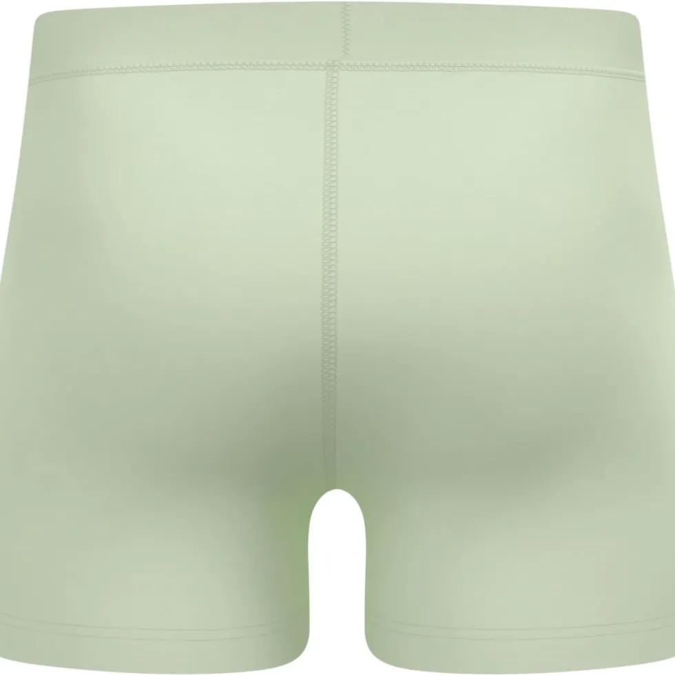 Odlo Natural Merino 160 Boxershort Heren - ambrosia