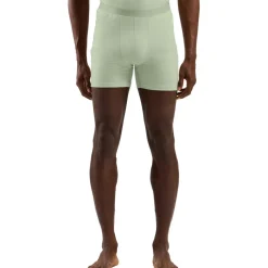 Odlo Natural Merino 160 Boxershort Heren - ambrosia