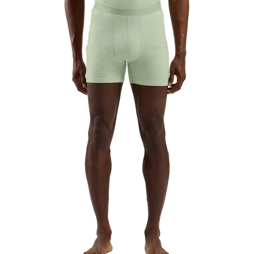 Odlo Natural Merino 160 Boxershort Heren - ambrosia