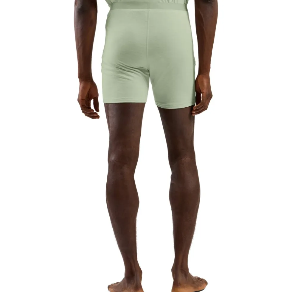 Odlo Natural Merino 160 Boxershort Heren - ambrosia