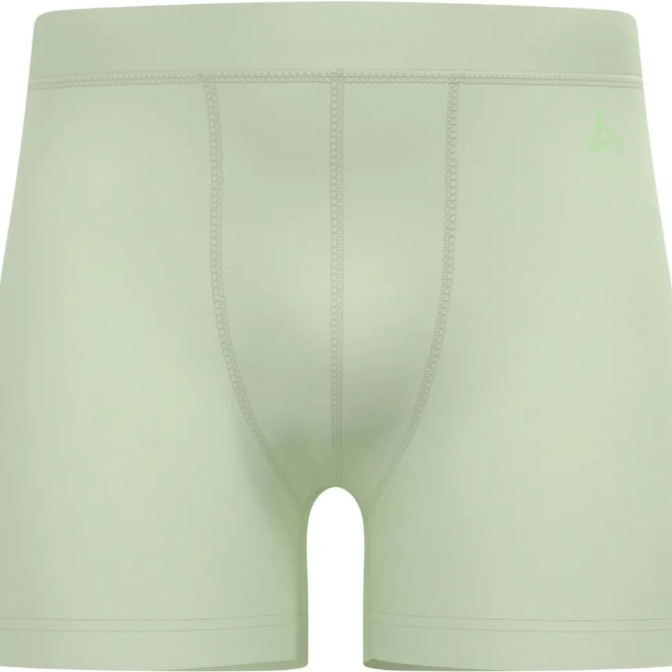 Odlo Natural Merino 160 Boxershort Heren - ambrosia