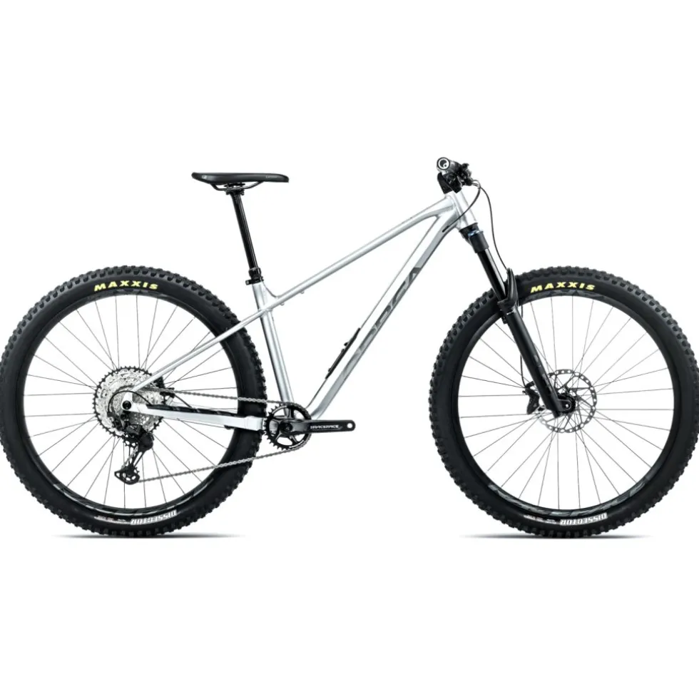 Orbea LAUFEY H-LTD - Mountainbike - 2026 - Smooth Silver (matt) - Titanium (gloss)