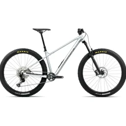 Orbea LAUFEY H10 - 29" mountainbike - 2026 - Smooth Silver (matt) - Titanium (gloss)