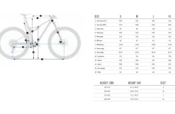 Orbea OIZ M10 - Carbon Mountainbike - 2026 - Diamond Carbon View (matt/gloss)