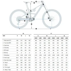 Orbea RISE LT M-TEAM - XT Di2 E-Mountainbike - 2025 - Cosmic Carbon - Golden Sand (gloss)