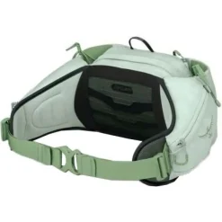 Osprey Tempest 6 EF Heuptas Dames - Frosty Mint Green/Botanica