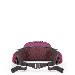 Heuptassen & Drinkgordels < Rab Protium 6 Heuptas - mulberry