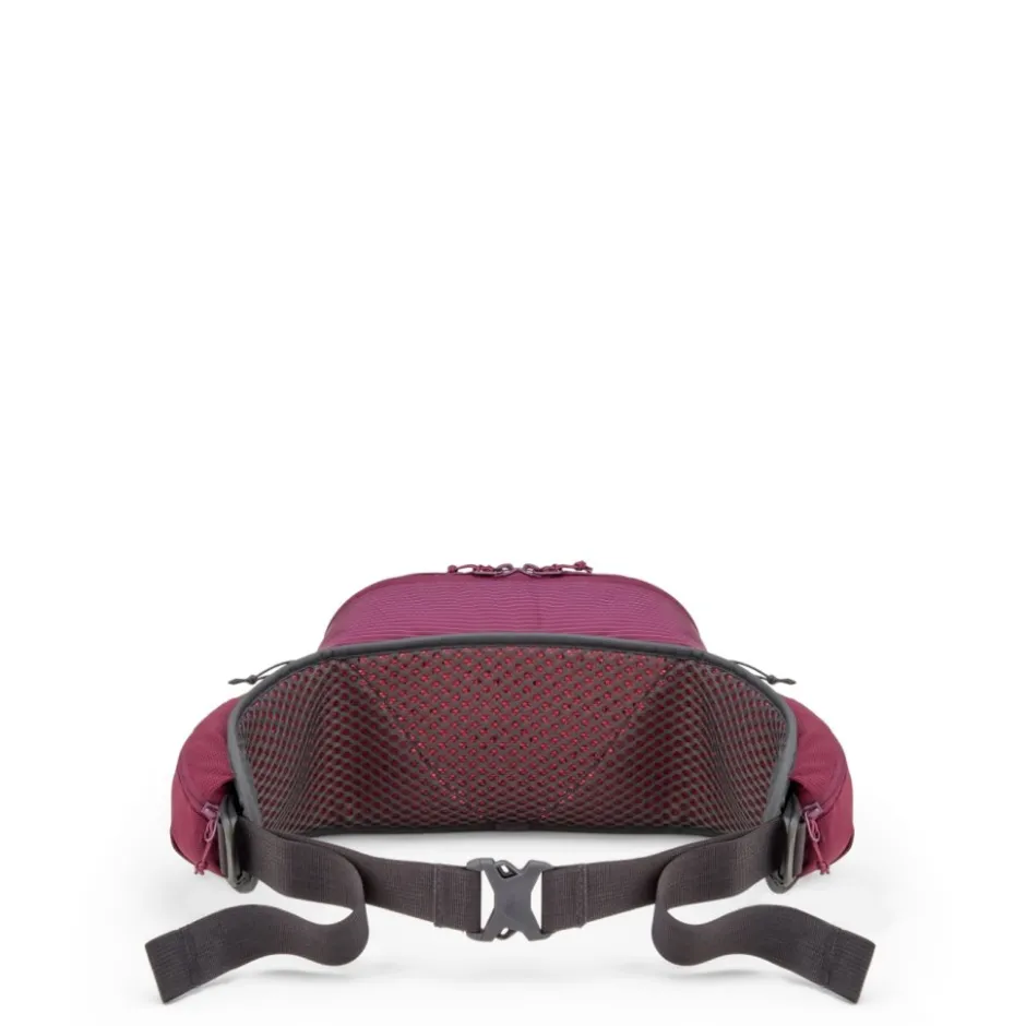 Heuptassen & Drinkgordels < Rab Protium 6 Heuptas - mulberry