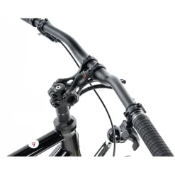 Rennstahl 853 Pi Touring - Pinion C1.12i - Trekkingfiets - 2026