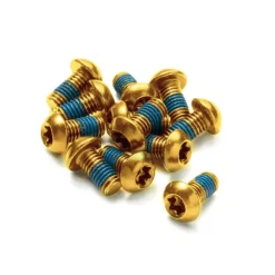 Reverse Components Bolts Set for Brake Disc - 12 Pieces - M5x10mm - gold