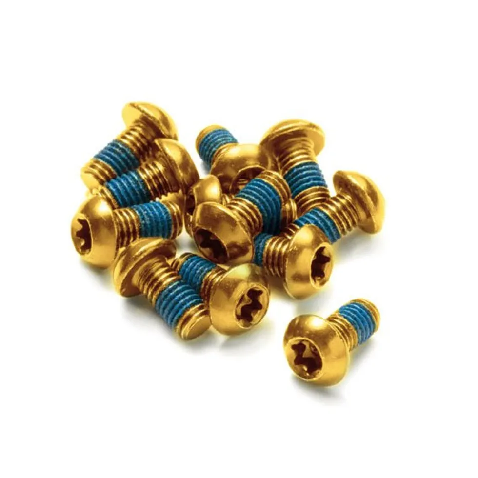 Reverse Components Bolts Set for Brake Disc - 12 Pieces - M5x10mm - gold