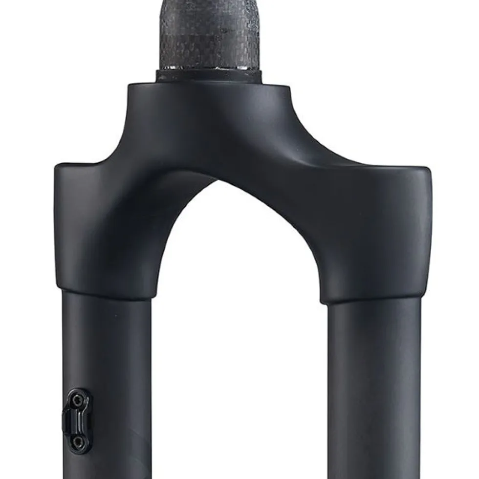 Ritchey WCS Carbon Mountain 29" MTB Rigid Fork - Tapered - PM - 15x110mm Boost - Matte UD Carbon