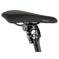 2R Manufaktur ELX 11 - Trekking E-Bike - 2025 - black matt / brushed silver