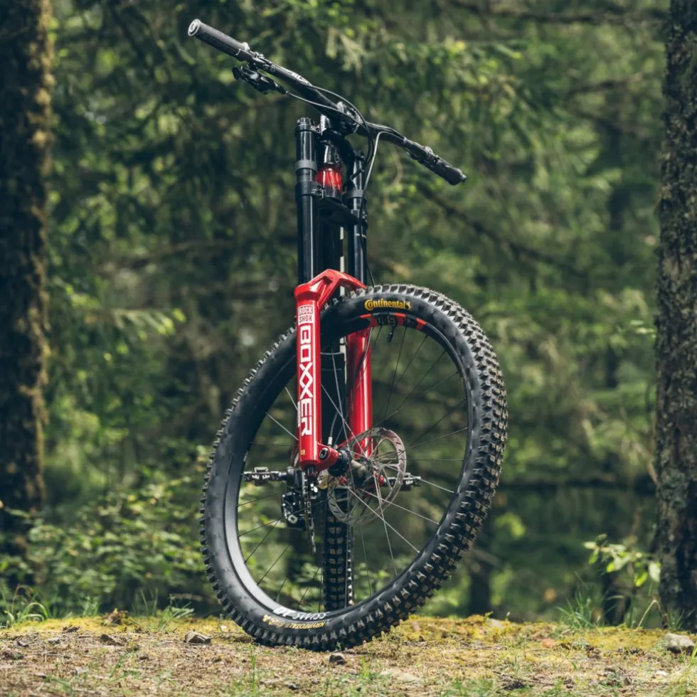 RockShox BoXXer Ultimate Voorvork - DebonAir+ | Charger 3 RC2 | D1 - 29" | 200mm | Offset 48mm | 20x110mm - Gloss Black