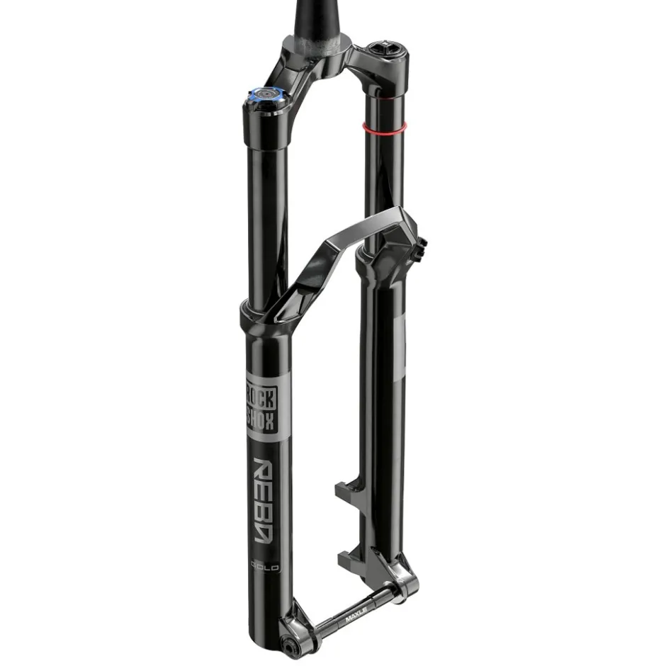 E-Bike Verende Voorvorken|Verende Voorvorken < RockShox REBA Gold Voorvork - 29" | 2P Remote Isolator RL | DebonAir | 15x110mm Boost - 100mm - zwart