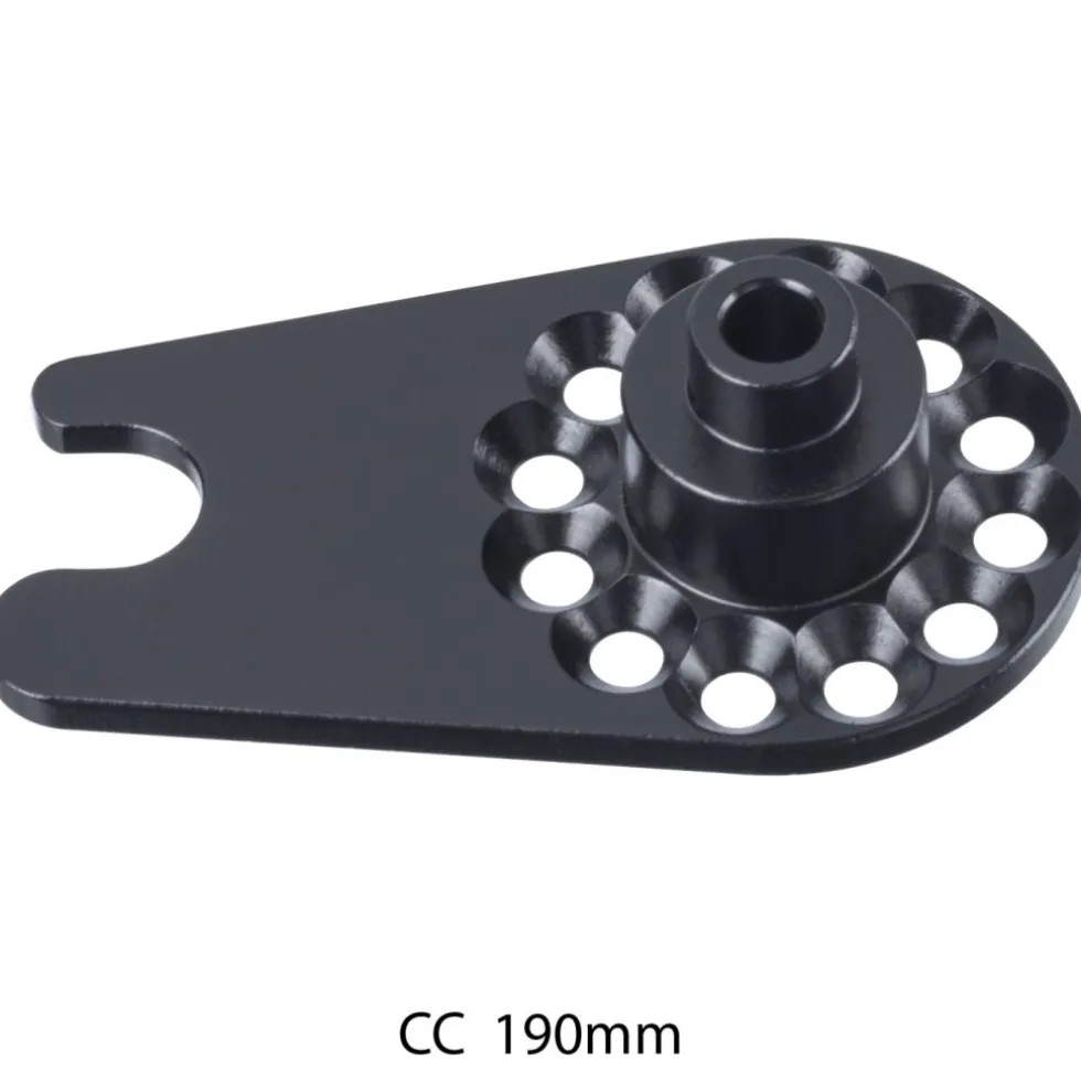 Rohloff OEM2 Axle Plate