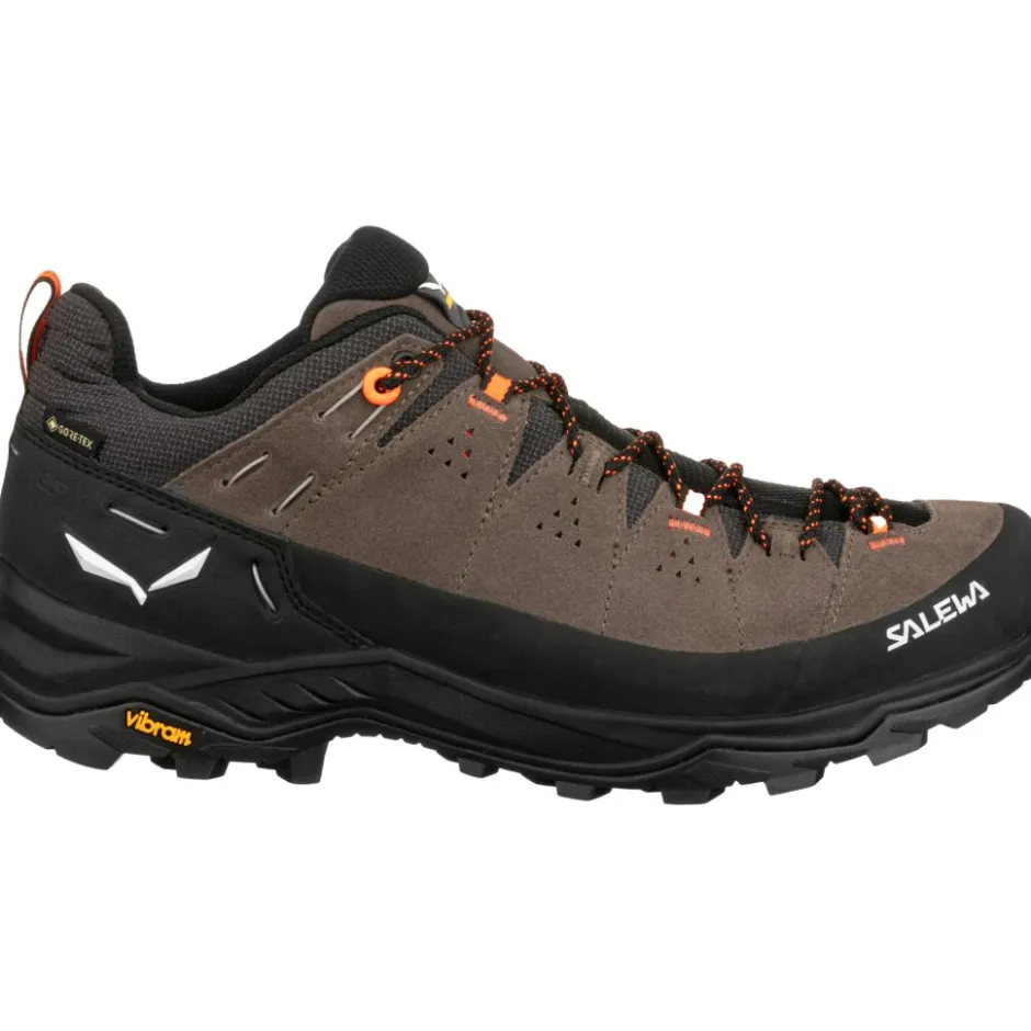 Wandelschoenen|Wandelschoenen < Salewa Alp Trainer 2 GTX Wandelschoenen Heren - bungee cord/black 7953