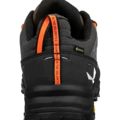 Wandelschoenen|Wandelschoenen < Salewa Alp Trainer 2 GTX Wandelschoenen Heren - bungee cord/black 7953