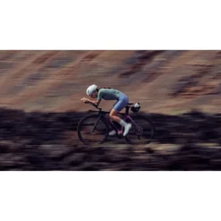 Santini Leaf Racebody Dames 5T774LIMGLEAF - viola