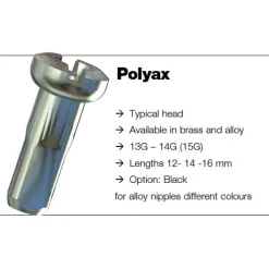 Spaken En Nippels < Sapim Polyax Brass Nipple 2 mm - silver