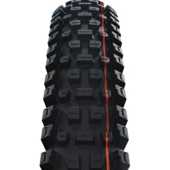Schwalbe Albert Vouwband - Evolution | Addix Soft | Gravity Pro | Radial | ECE-R75 - 27.5x2.60"