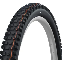 Schwalbe Albert Vouwband - Evolution | Addix Soft | Gravity Pro | Radial | ECE-R75 - 29x2.60"