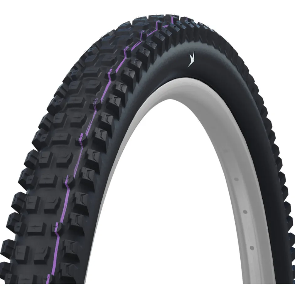 E-Bike Banden < Schwalbe Albert Vouwband - Evolution | Addix Ultra Soft | Gravity Pro | Radial | ECE-R75 - 29x2.60"