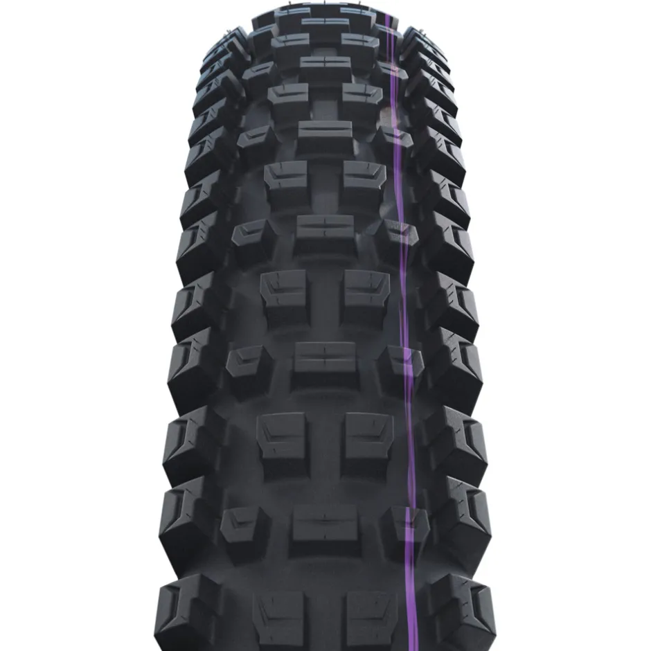 E-Bike Banden < Schwalbe Albert Vouwband - Evolution | Addix Ultra Soft | Gravity Pro | Radial | ECE-R75 - 29x2.60"