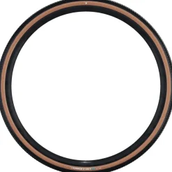 Schwalbe G-One R Pro Vouwband - Addix Race | Super Race | V-Guard | TLR | E-25 - 40-622 | transparent sidewall