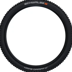 Schwalbe Hans Dampf Vouwband - Evolution | Addix Speedgrip | Super | TLEasy - E-25 - 27.5x2.60" | Black