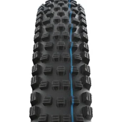 E-Bike Banden < Schwalbe Wicked Will Vouwband - Evolution | Addix Speedgrip | Super Race | TLEasy - ECE-R75 - 29x2.40" | Transparent Sidewall