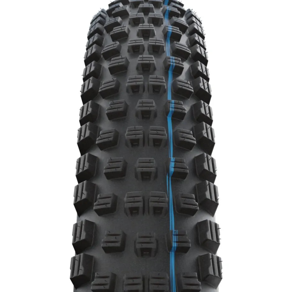 E-Bike Banden < Schwalbe Wicked Will Vouwband - Evolution | Addix Speedgrip | Super Race | TLEasy - ECE-R75 - 29x2.40" | Transparent Sidewall