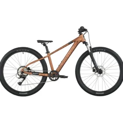 Kindermountainbikes < SCOTT ROXTER 600 - 26" Kinder MTB - 2026 - alloy brown