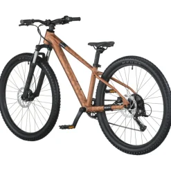 Kindermountainbikes < SCOTT ROXTER 600 - 26" Kinder MTB - 2026 - alloy brown