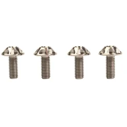 SILCA Titanium Fleshouderschroeven - M5x12 - 4 Stuks - zilver