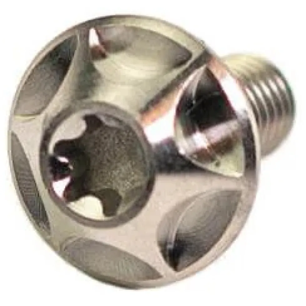 SILCA Titanium Fleshouderschroeven - M5x12 - 4 Stuks - zilver