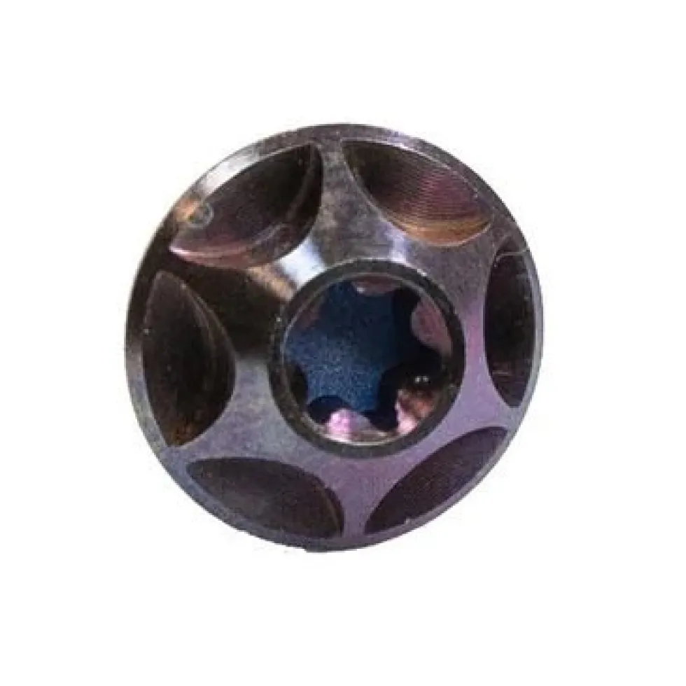 SILCA Titanium Fleshouderschroeven - M5x12 - 4 Stuks - royal purple