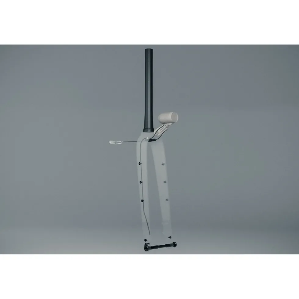Sour Bicycles Business Carbon Starre Voorvork - Tapered | Flat Mount | 12x100mm