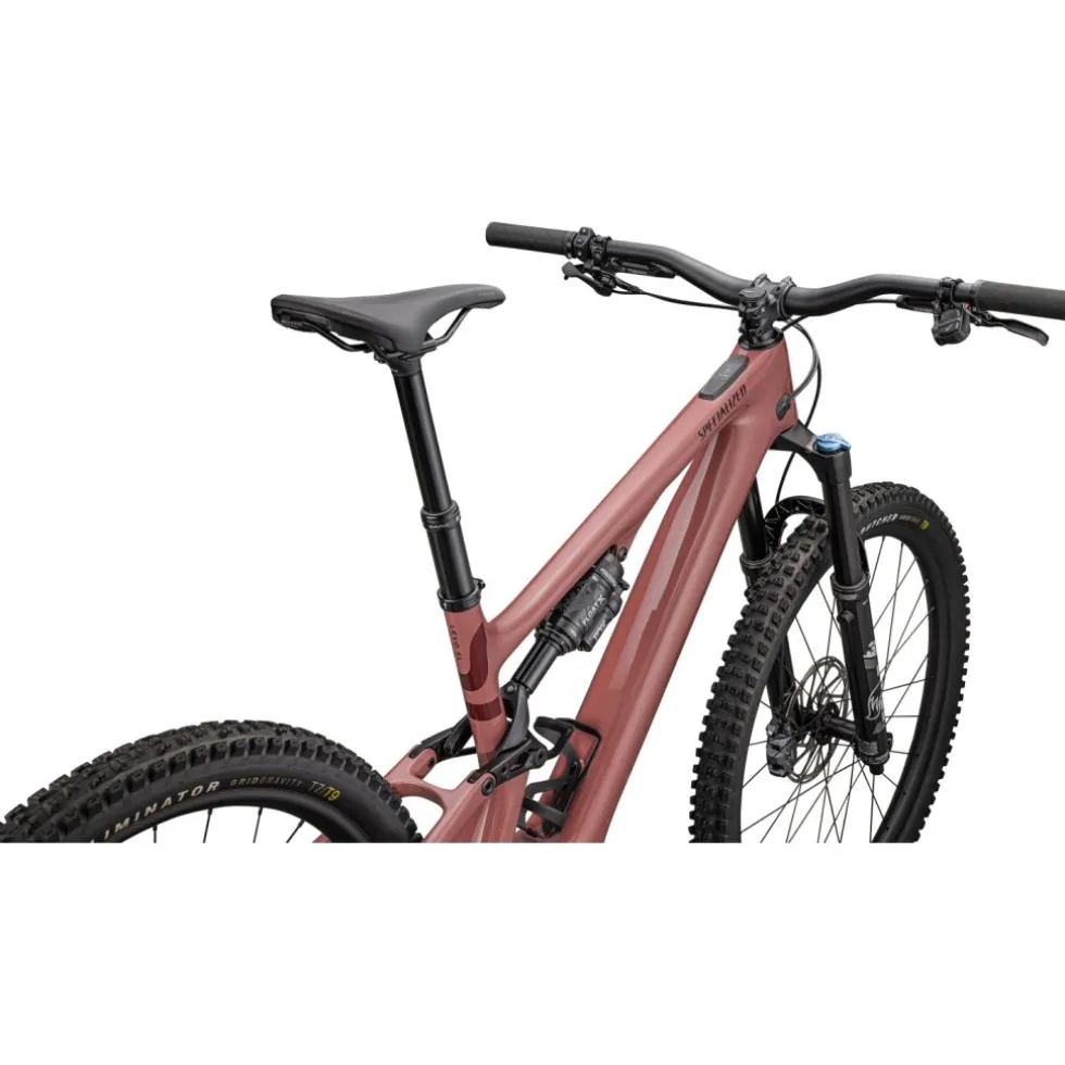Specialized TURBO LEVO SL 2 COMP - Carbon E-MTB - 2025 - spice / maroon / obsidian