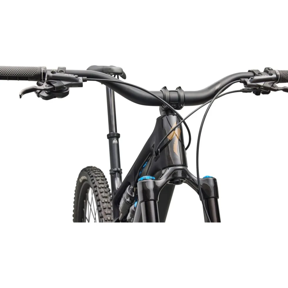 Specialized TURBO LEVO SL EXPERT Di2 - Carbon E-MTB - 2025 - carbon / burnt gold