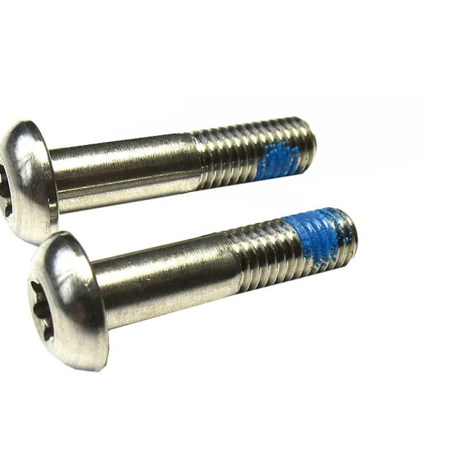 Bouten|Gereedschap En Onderhoud < SRAM Torx 25 Bolt Kit for Flat Mount Brake Caliper - 22mm - Titanium - 00.5318.005.015