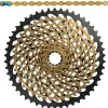 Cassettes < SRAM XX1 Eagle slijtageset met ketting en XG-1299 cassette - 50 teeth - gold