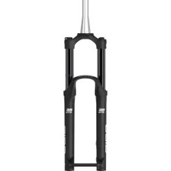 E-Bike Verende Voorvorken < SR Suntour SF25 AION38X Boost - Voorvork - 29"| 180mm | Tapered | 15x110mm - grijs