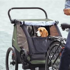 Kinderkarren < Thule Courier 3 in 1 - Fietskar voor Kinderen - Vintage Green
