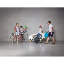 Thule Reacha City Fietskar