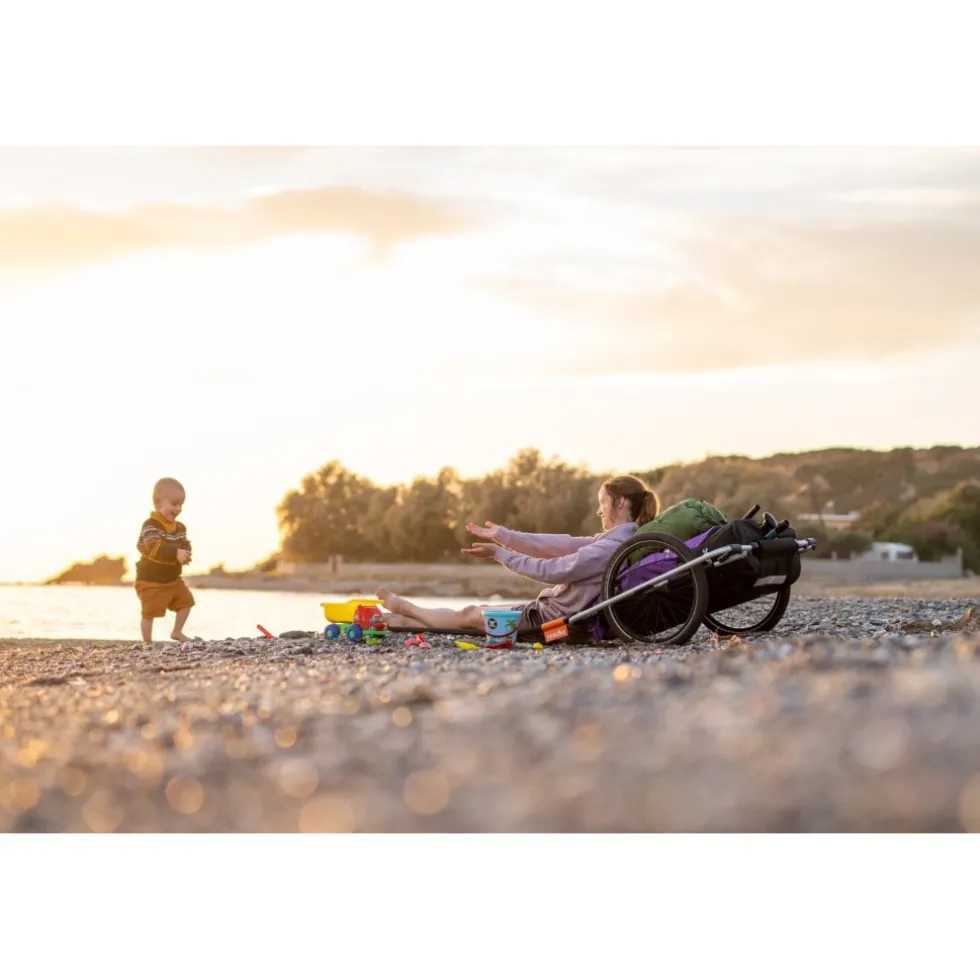 Thule Reacha Sport Fietskar