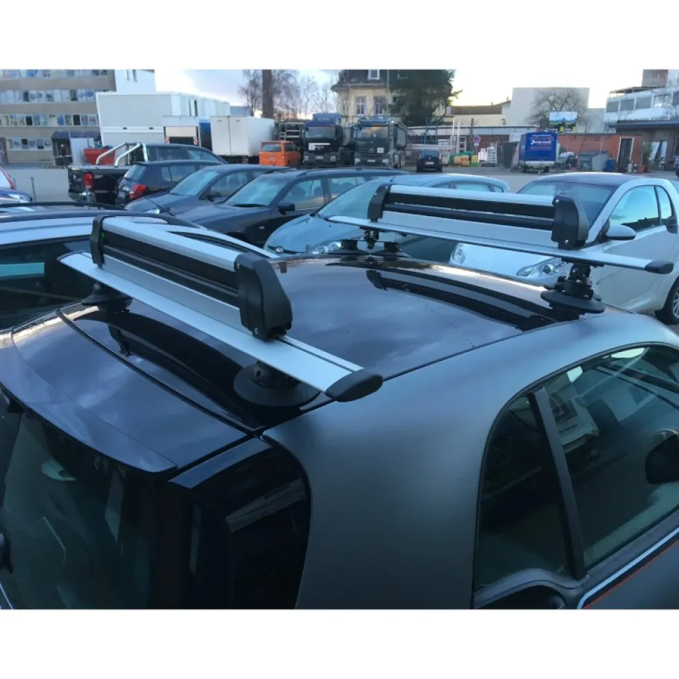 TreeFrog Crossbar Dakfietsdrager - zwart