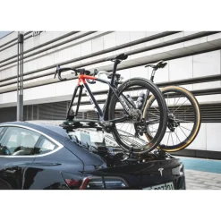 Fietsendragers < Treefrog Pro 2 Fietsendrager - 9-12x100 mm