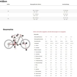 Trek RAIL+ 9.8 GX AXS T-Type Gen 5 - Carbon E-MTB - 2025 - Deep Smoke
