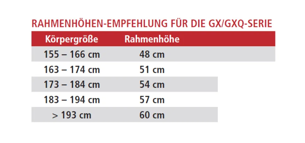 vsf fahrradmanufaktur GXQ-400 - Gravelbike - 2026 - cosmic silver glossy